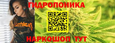 сатива Комсомольск-на-Амуре
