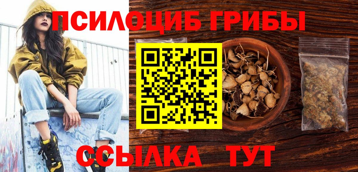 Псилоцибиновые грибы Psilocybine cubensis  Вход с VPN  Кириши 